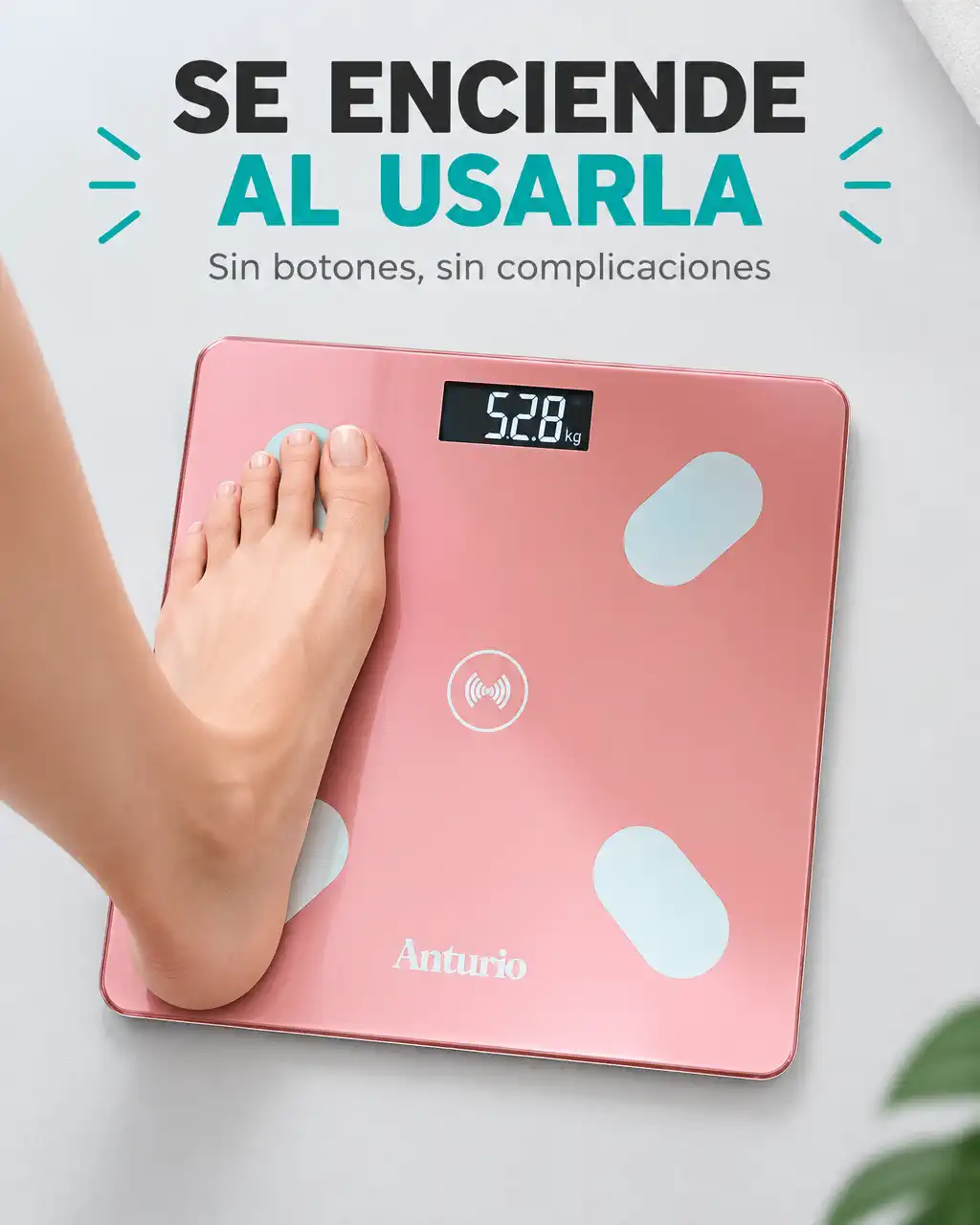 BÁSCULA INTELIGENTE